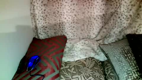 Parlay tellio online show from 12-28-24, 02:43