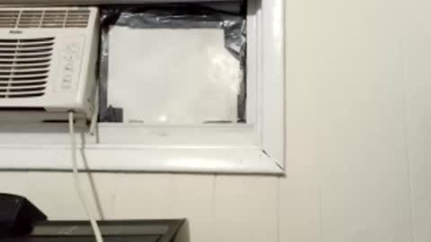 JD online show from 03-01-25, 10:13