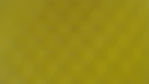 patty squirt87 online show from 02-19-25, 05:49