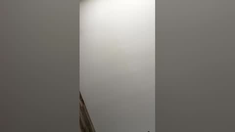 Snapshot of paul856963 chatting on 03-09-26, 09:19 paul856963 online show from 03-09-26, 09:19