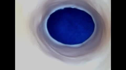 Paula 18 Aninhos online show from 02-22-25, 03:23