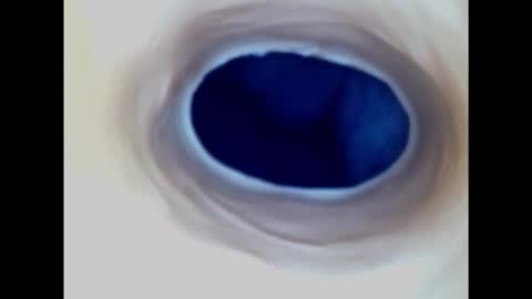 Paula 18 Aninhos online show from 03-02-25, 02:19