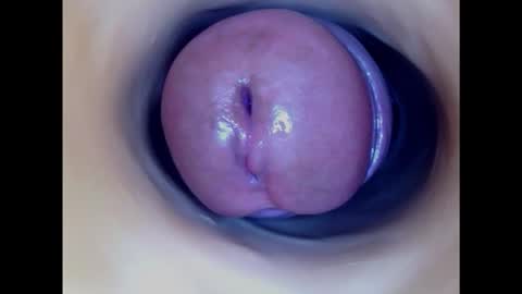 Paula 18 Aninhos online show from 10-28-25, 03:32