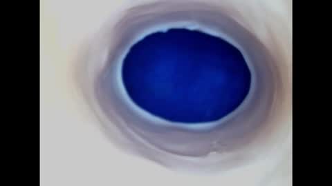 Paula 18 Aninhos online show from 11-09-25, 07:34