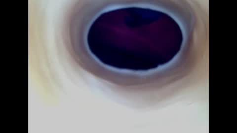 Paula 18 Aninhos online show from 03-27-26, 09:25