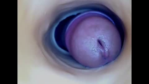 Snapshot of paulainoscente chatting on 06-11-26, 12:43 Paula 18 Aninhos online show from 06-11-26, 12:43