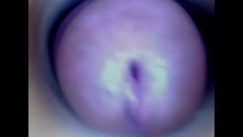 Snapshot of paulainoscente chatting on 06-16-26, 01:30 Paula 18 Aninhos online show from 06-16-26, 01:30