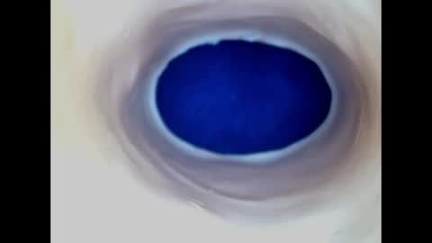 Snapshot of paulainoscente chatting on 06-19-26, 05:06 Paula 18 Aninhos online show from 06-19-26, 05:06