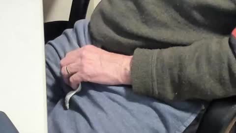 Snapshot of paultje7171 chatting on 02-10-25, 06:45 Paul online show from 02-10-25, 06:45