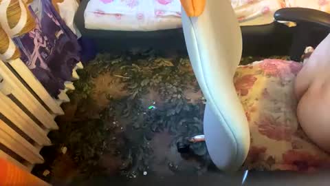 pawelmajster3 online show from 10-18-25, 03:35