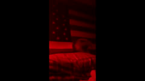 pbtalentscout online show from 03-15-26, 04:40