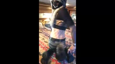 Pearl online show from 04-19-26, 09:28