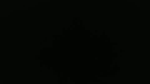 Alex online show from 09-24-25, 08:28