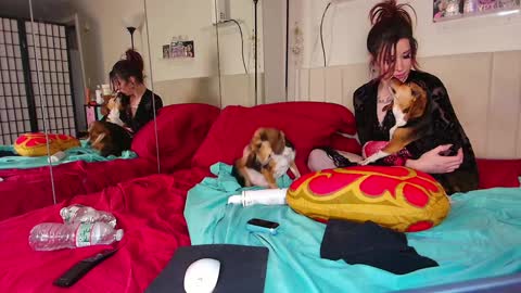 Snapshot of peggingattiffanys chatting on 12-15-24, 02:41 Tiffany Von-Pierre online show from 12-15-24, 02:41