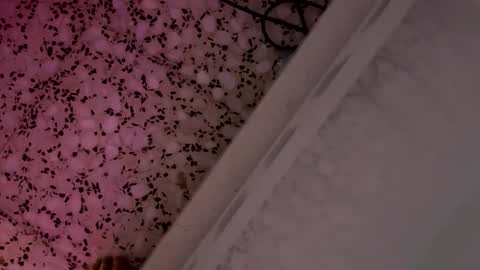 Snapshot of pelachet69 chatting on 06-02-26, 10:45 pelachet69 online show from 06-02-26, 10:45