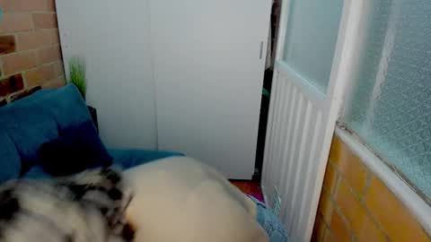 Penelope online show from 03-11-26, 10:38