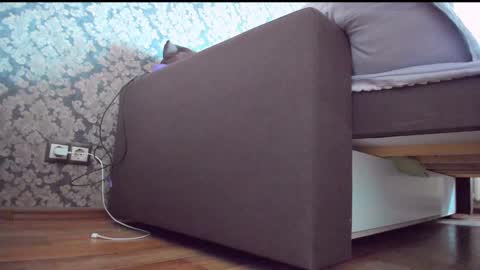 Snapshot of perfectdate chatting on 12-10-24, 09:01 Anna online show from 12-10-24, 09:01