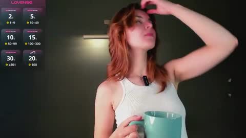 Snapshot of perfectvisitor chatting on 06-29-26, 11:27 Sophia online show from 06-29-26, 11:27