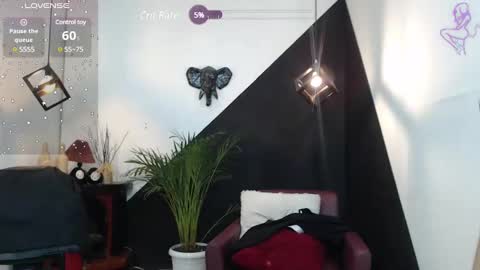   online show from 01-31-25, 10:10