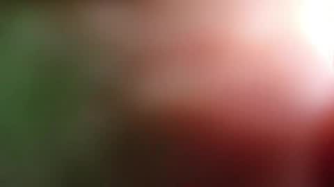 Snapshot of perla_lovely chatting on 05-01-26, 12:54 perla_lovely online show from 05-01-26, 12:54