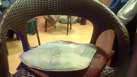 peta000007 online show from 12-04-25, 09:12