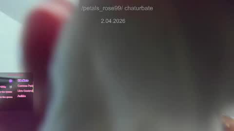 Snapshot of petals_rose99 chatting on 04-01-26, 09:56 Rose online show from 04-01-26, 09:56
