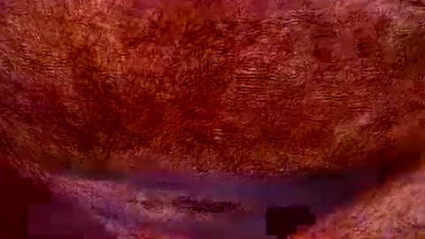 Snapshot of peterpeteropoulos chatting on 07-20-26, 07:05 peterpeteropoulos online show from 07-20-26, 07:05