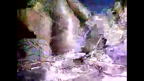 peterson1978 online show from 11-08-25, 08:07