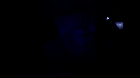 peterson1978 online show from 06-04-26, 02:06