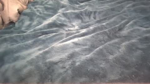 Snapshot of petite_cupcake chatting on 02-26-25, 02:59 Little cupcake online show from 02-26-25, 02:59