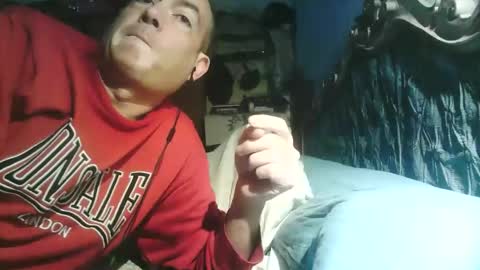 Snapshot of pets76 chatting on 03-01-26, 04:09 pets76 online show from 03-01-26, 04:09