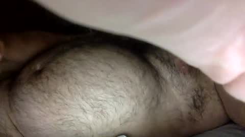 pghhd online show from 10-08-25, 08:17