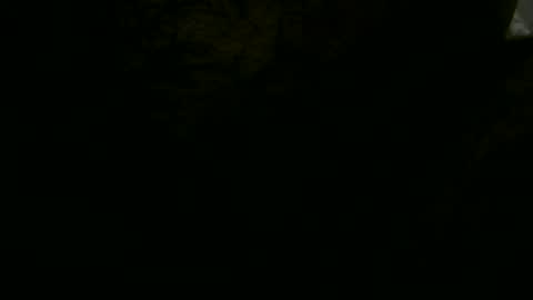 Snapshot of pglsmm chatting on 01-19-25, 01:32 pgls online show from 01-19-25, 01:32
