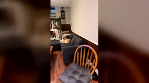 Snapshot of phatassblond chatting on 12-15-25, 03:05 PhatAssBlond online show from 12-15-25, 03:05