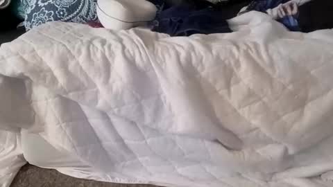 Snapshot of phillipdee chatting on 01-07-26, 05:04 phillipdee online show from 01-07-26, 05:04