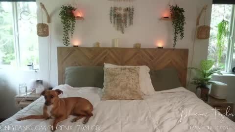 PHOENIX TAYLOR online show from 06-26-26, 07:40
