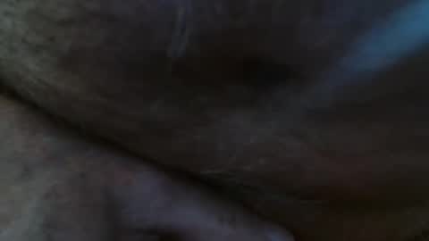 Snapshot of pillio3 chatting on 02-23-25, 02:04 Pit online show from 02-23-25, 02:04