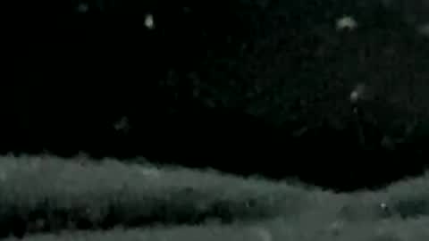 Snapshot of pilura chatting on 07-19-26, 07:34 pilura online show from 07-19-26, 07:34