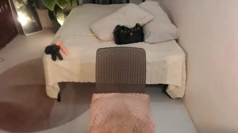 pinay_empress18 online show from 06-04-26, 12:16