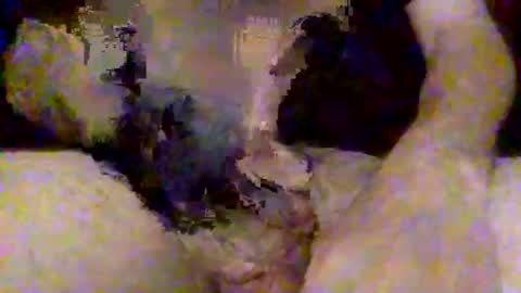 pinaykittylover online show from 04-19-26, 12:37