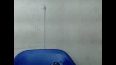 pinkxsugar online show from 09-10-25, 06:13