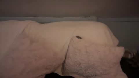 Snapshot of pirdybirdyxo chatting on 03-02-25, 06:37 pirdybirdyxo online show from 03-02-25, 06:37