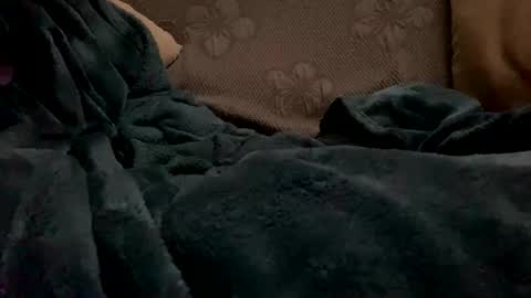 Snapshot of pisellone1982 chatting on 03-26-26, 08:09 pisellone1982 online show from 03-26-26, 08:09