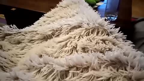 Snapshot of pitoenmano_ chatting on 02-09-25, 06:33 Antn online show from 02-09-25, 06:33