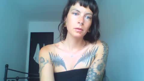 pixiecatfairy online show from 09-17-25, 09:44