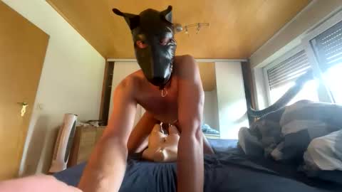 Snapshot of playdog123 chatting on 09-21-25, 11:56 playdog123 online show from 09-21-25, 11:56