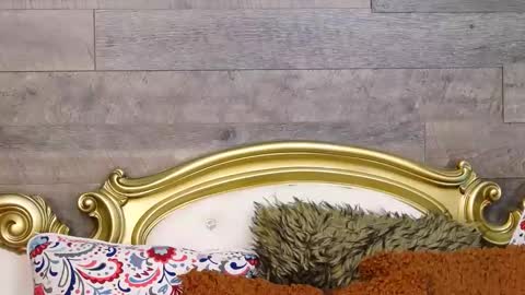 Snapshot of playfulsamy chatting on 12-12-24, 10:02 PlayfulSamy online show from 12-12-24, 10:02