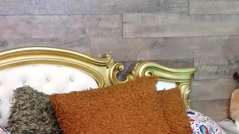 Snapshot of playfulsamy chatting on 01-13-25, 11:30 PlayfulSamy online show from 01-13-25, 11:30