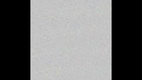 playtoy1969 online show from 02-20-25, 11:31