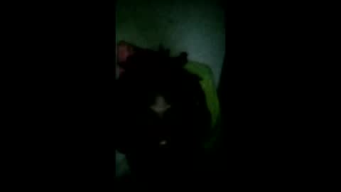 pledges000 online show from 03-06-26, 02:35